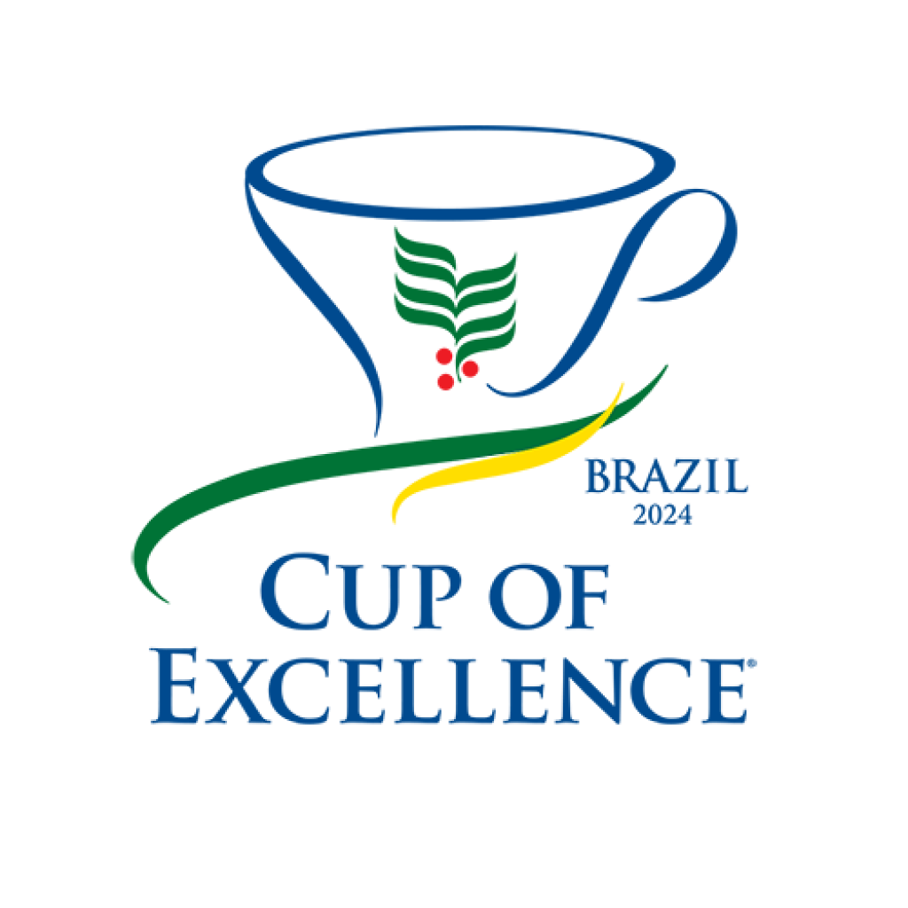 brazilcoe_2024-logo-1024x1024.png