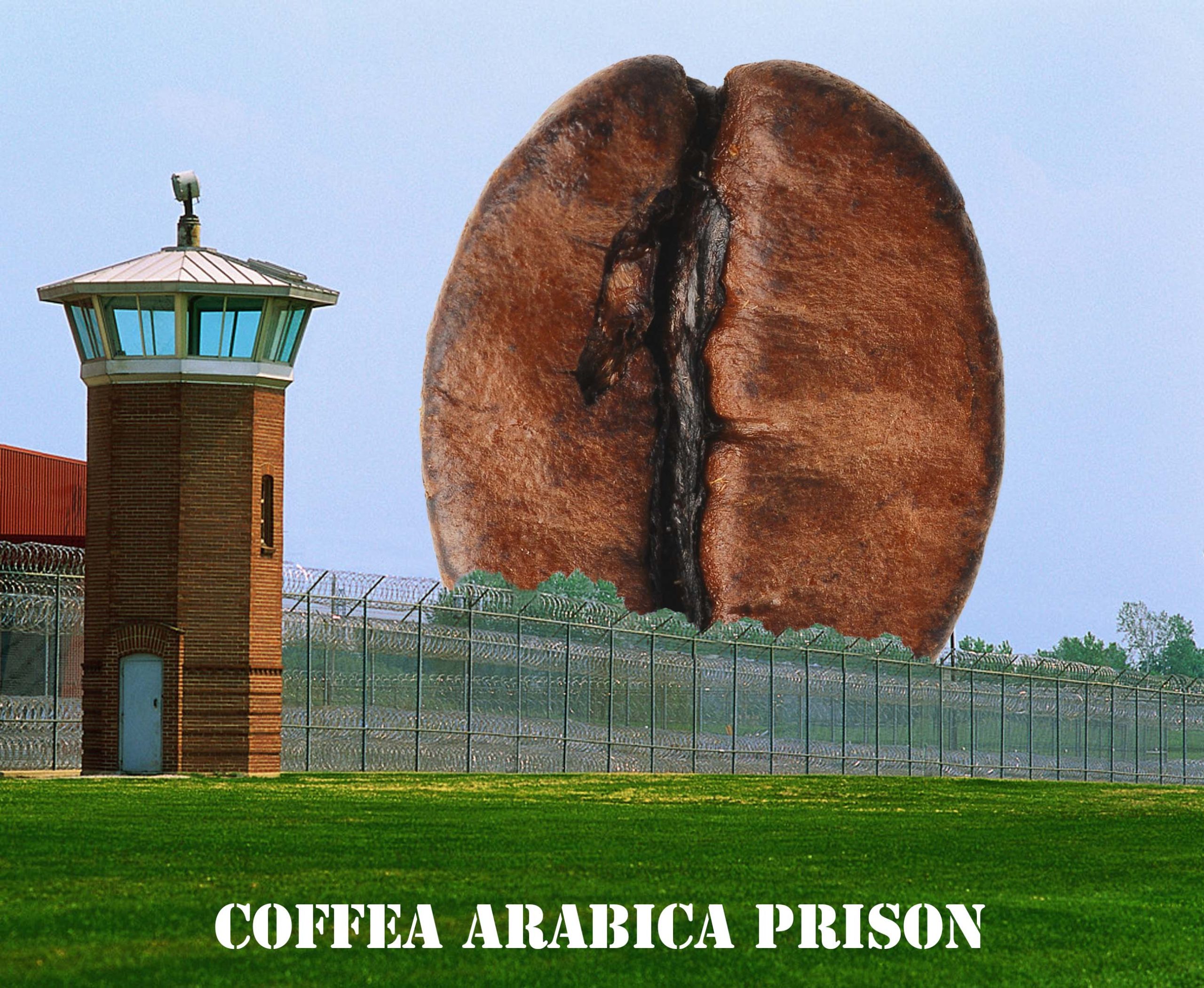 A large coffee bean in prison. Coffee beans are like prisons for flavor compounds