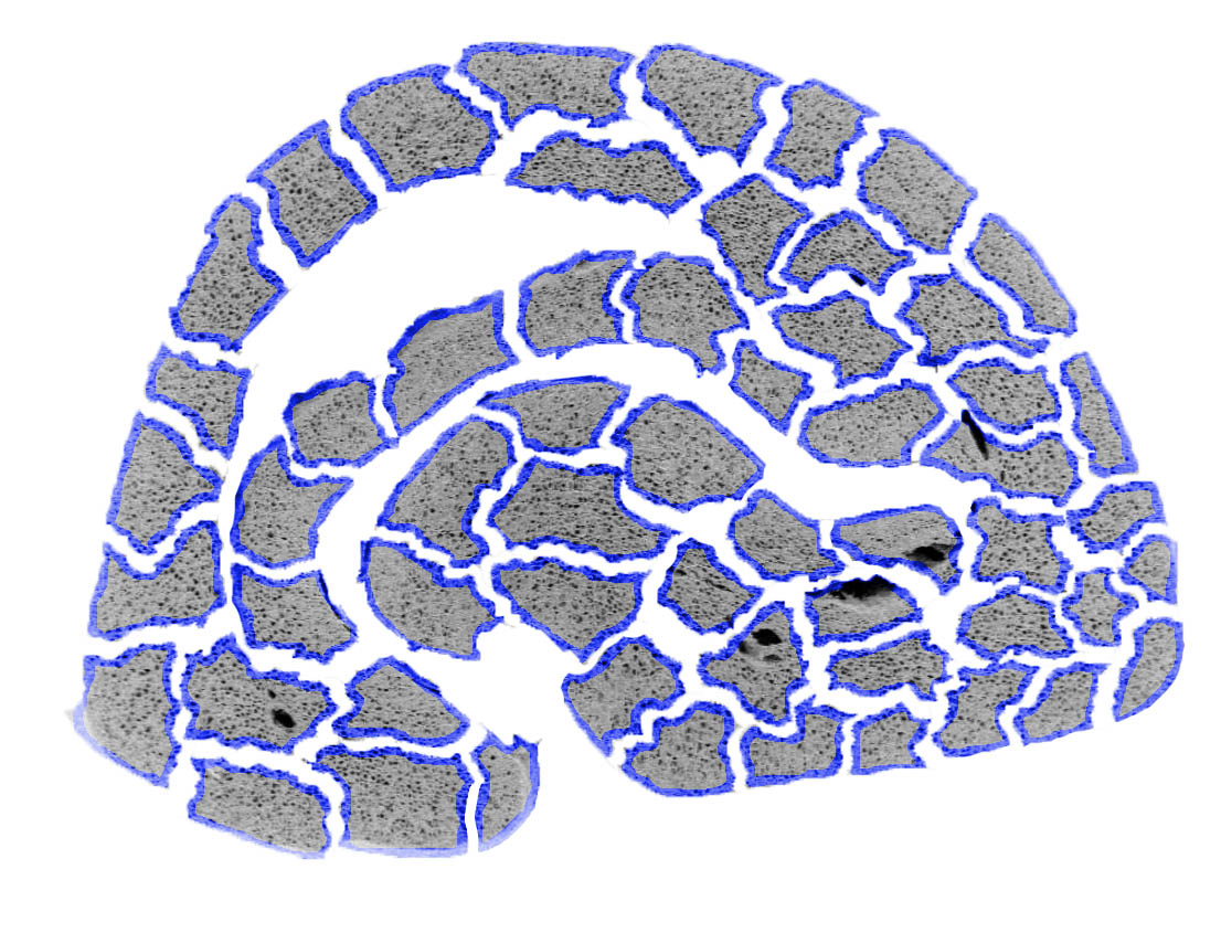 Visualization of coffee bean ground up so water can reach more cells